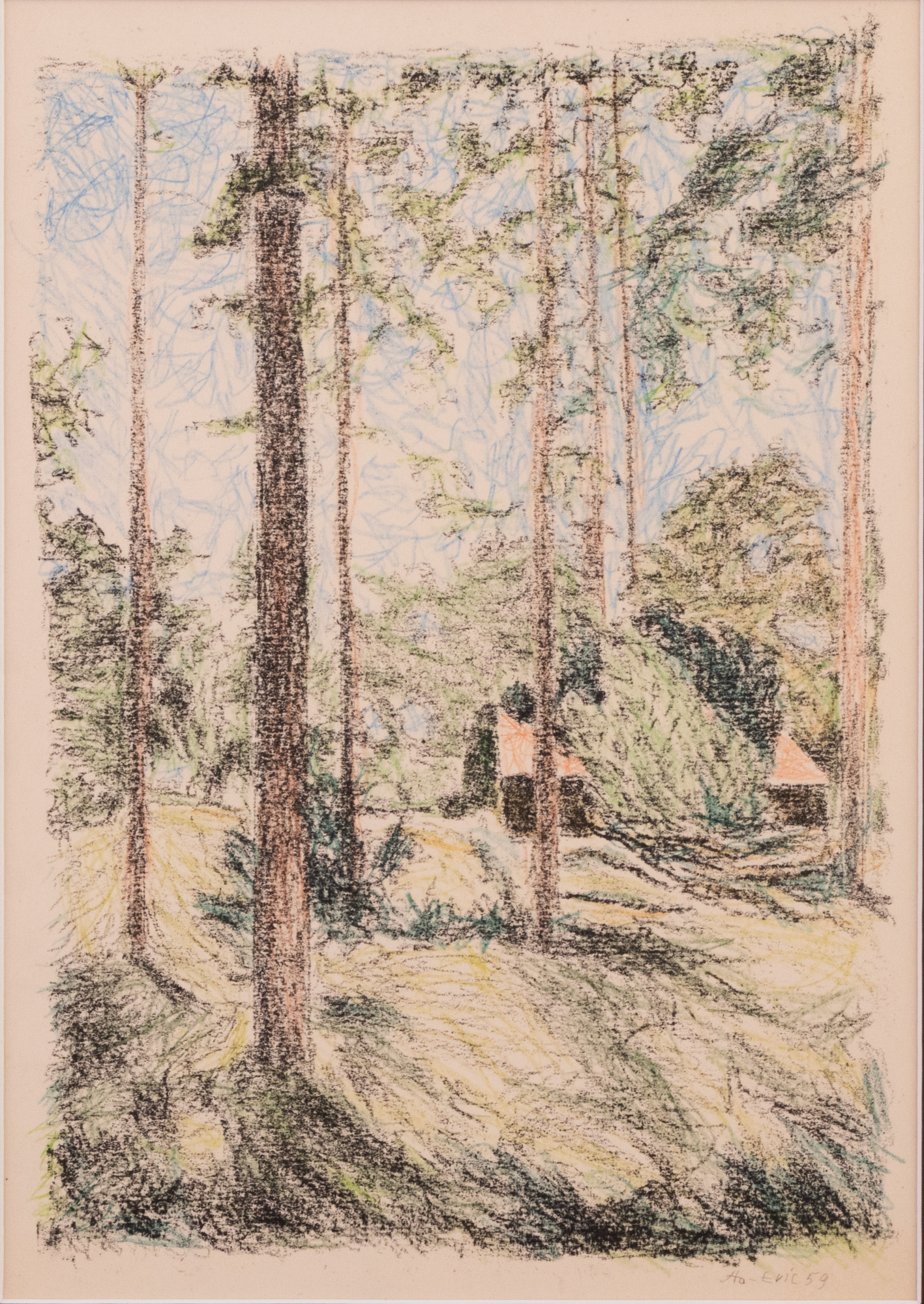 View of the Forest