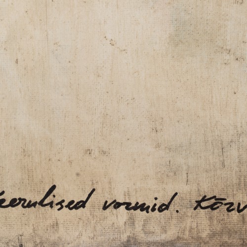 Keerulised vormid. Kõrv