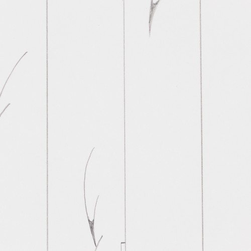Past