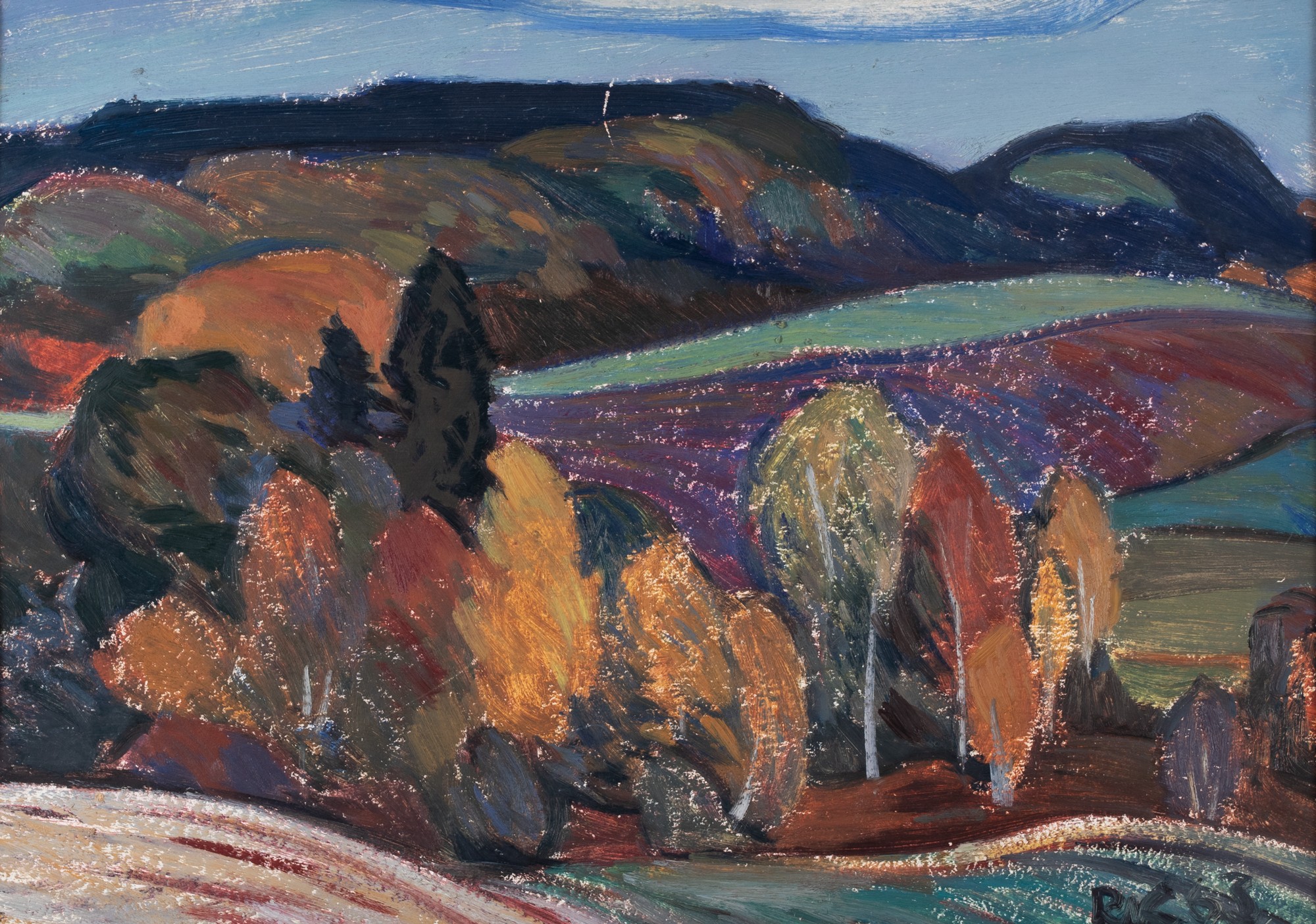 Autumnal Forest