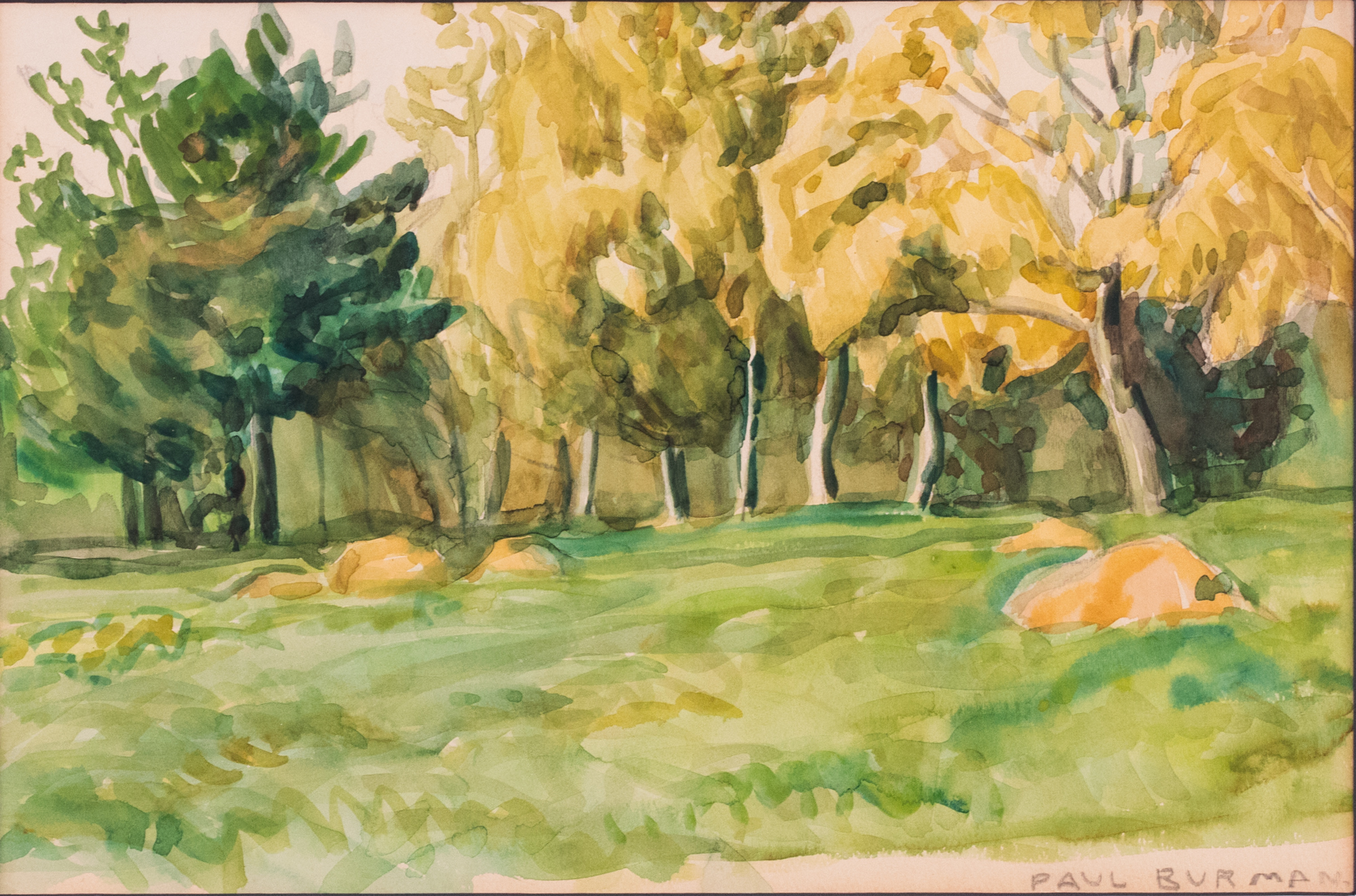 Edge of the Forest