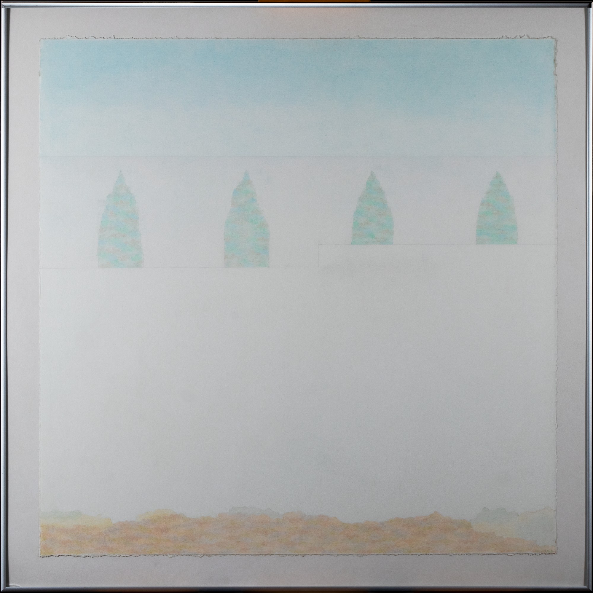 Kuused ja sinine taevas