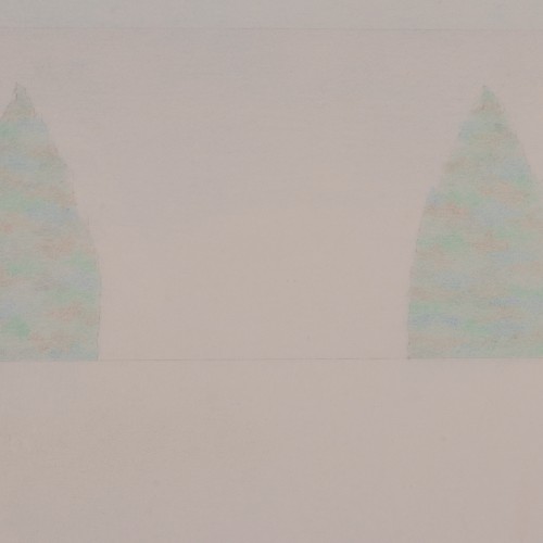 Kuused ja sinine taevas