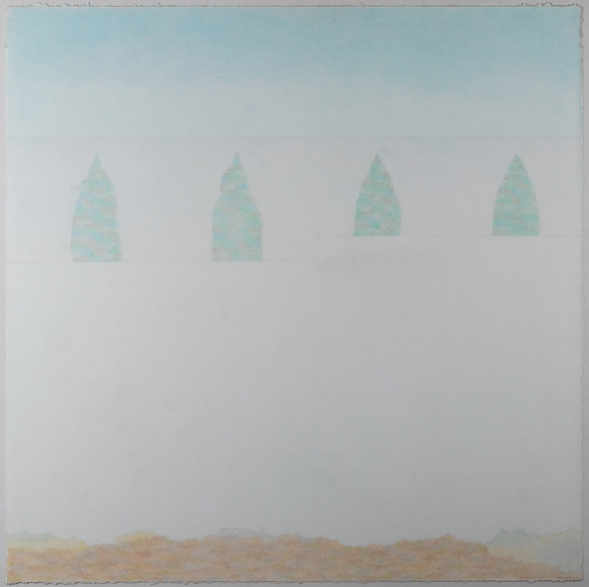 Kuused ja sinine taevas