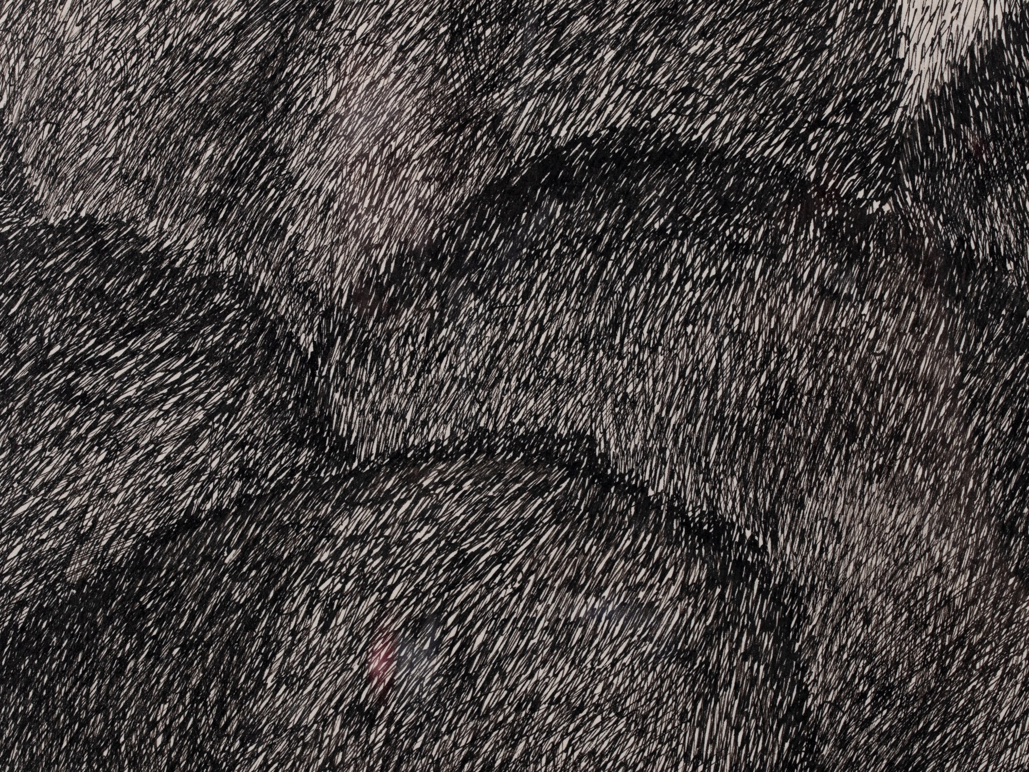 Maastik musta ovaaliga