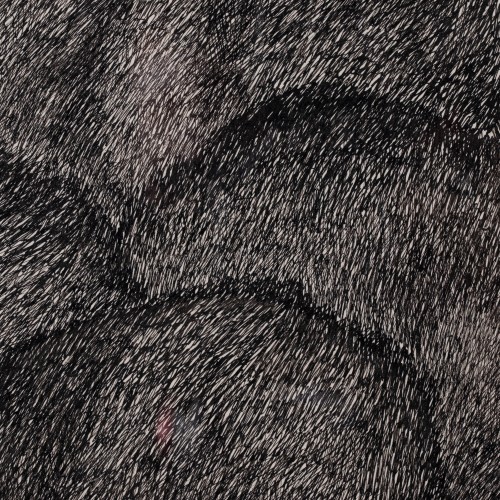 Maastik musta ovaaliga