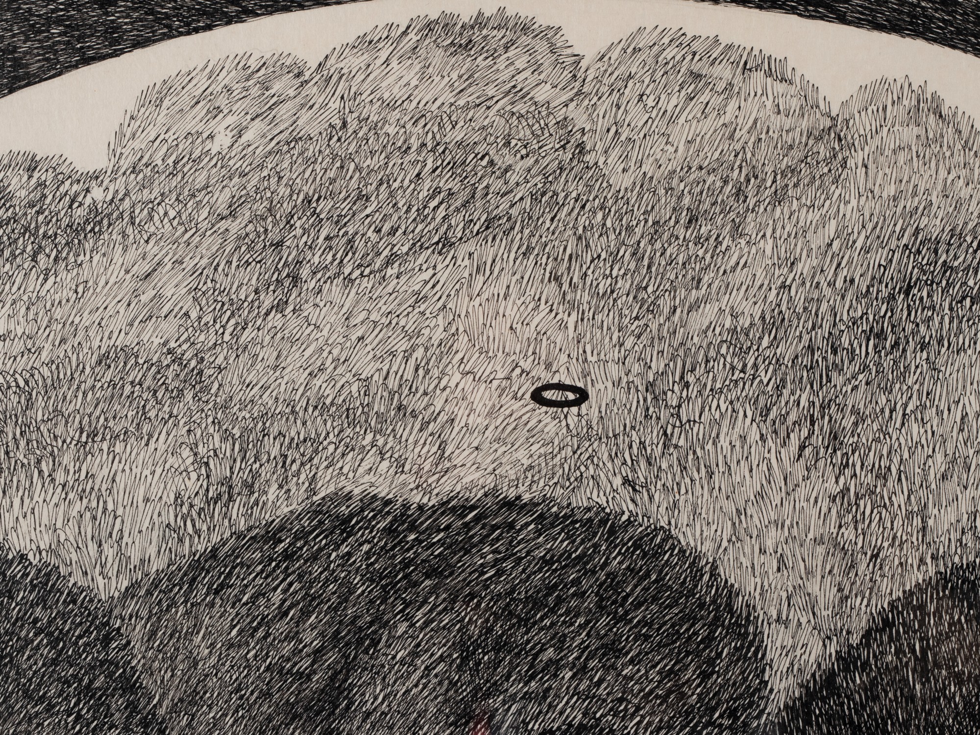 Maastik musta ovaaliga