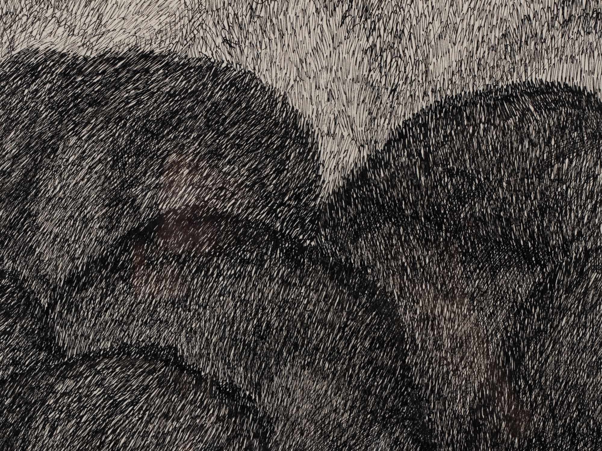 Maastik musta ovaaliga