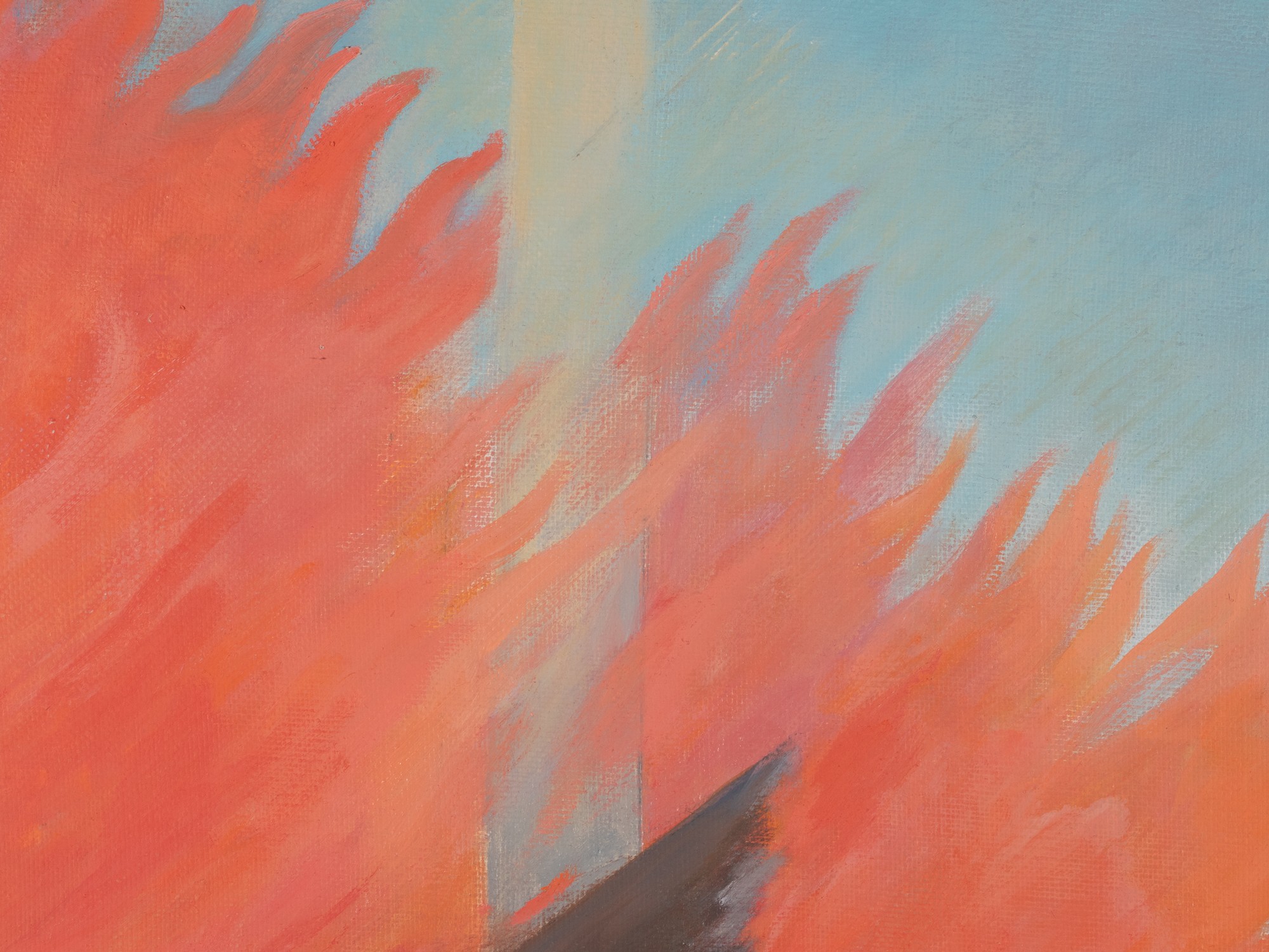 Rõõmu põletatud majad