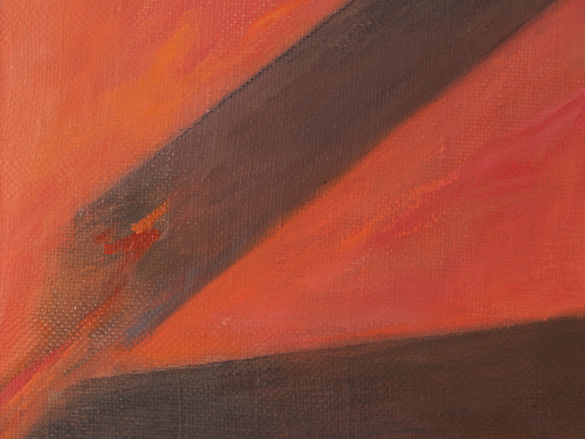 Rõõmu põletatud majad