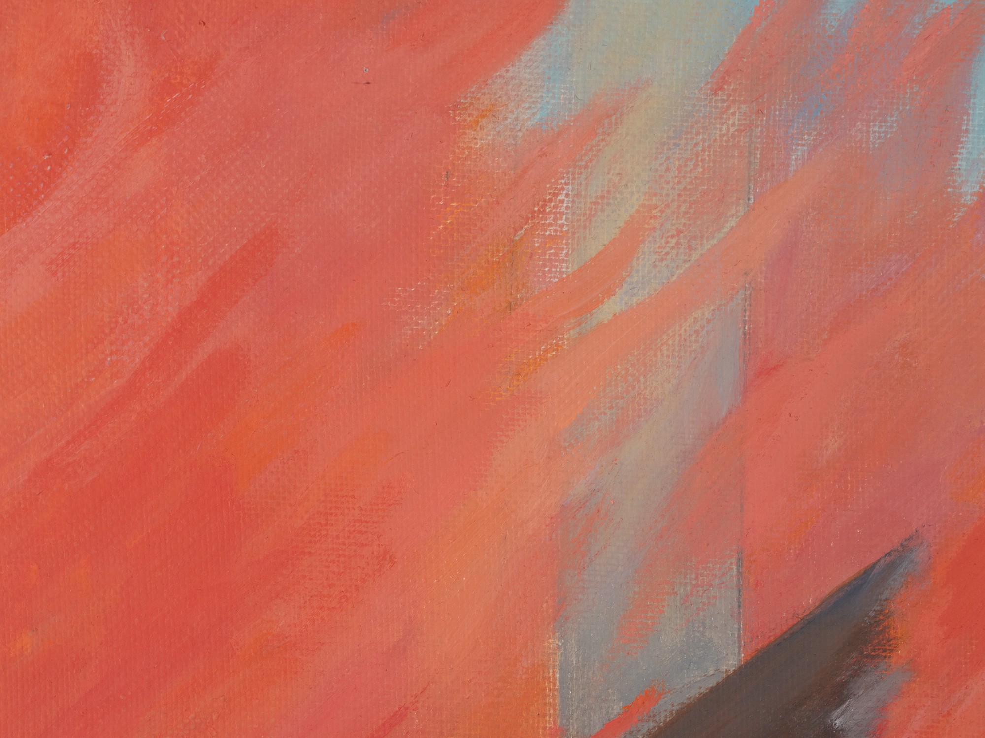 Rõõmu põletatud majad