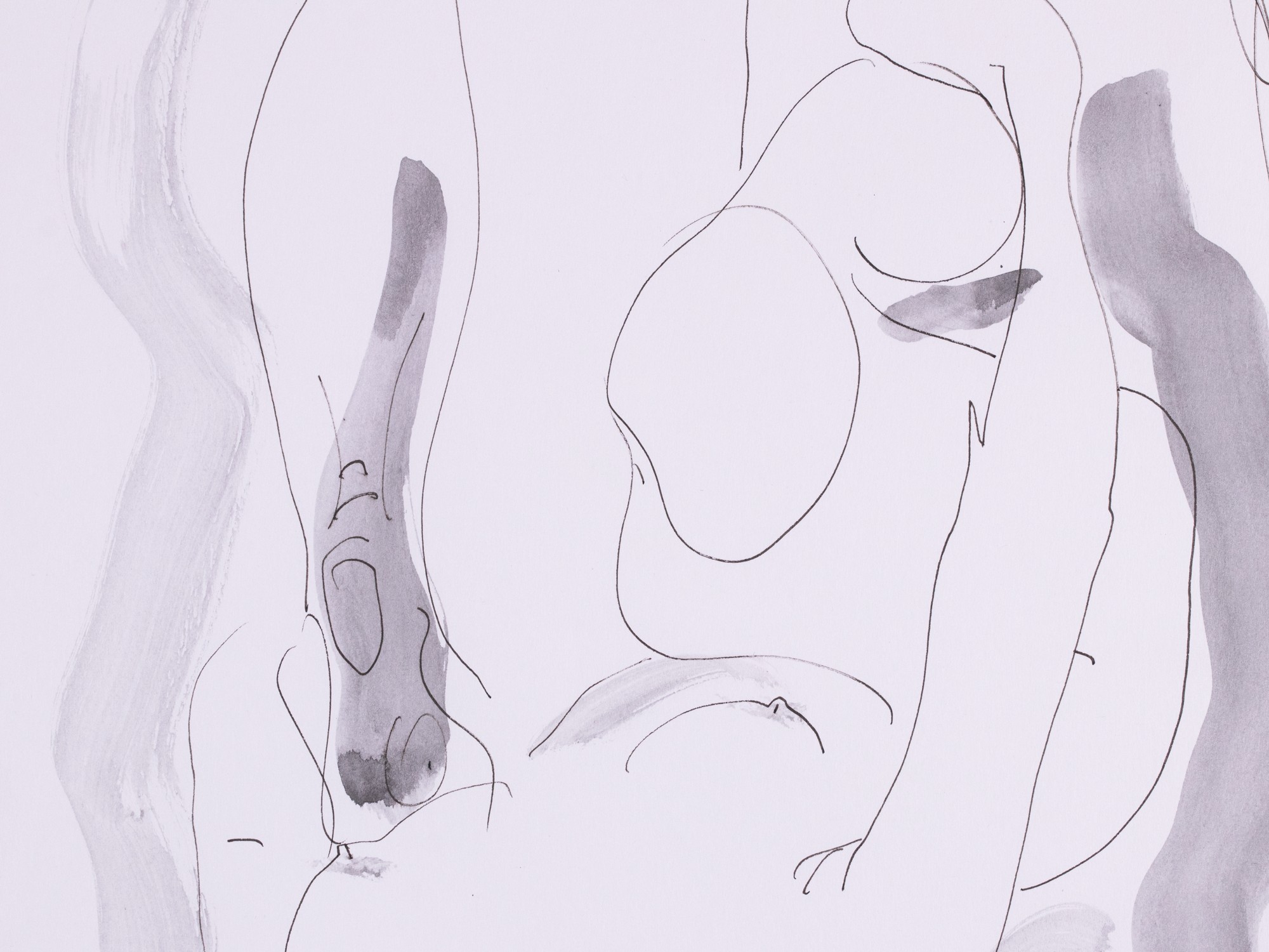 Lamav akt hallis valguses