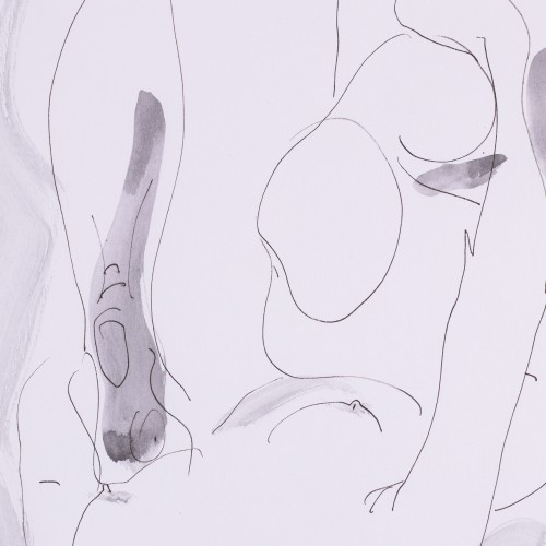 Lamav akt hallis valguses