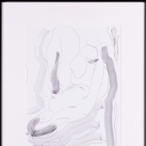 Lamav akt hallis valguses