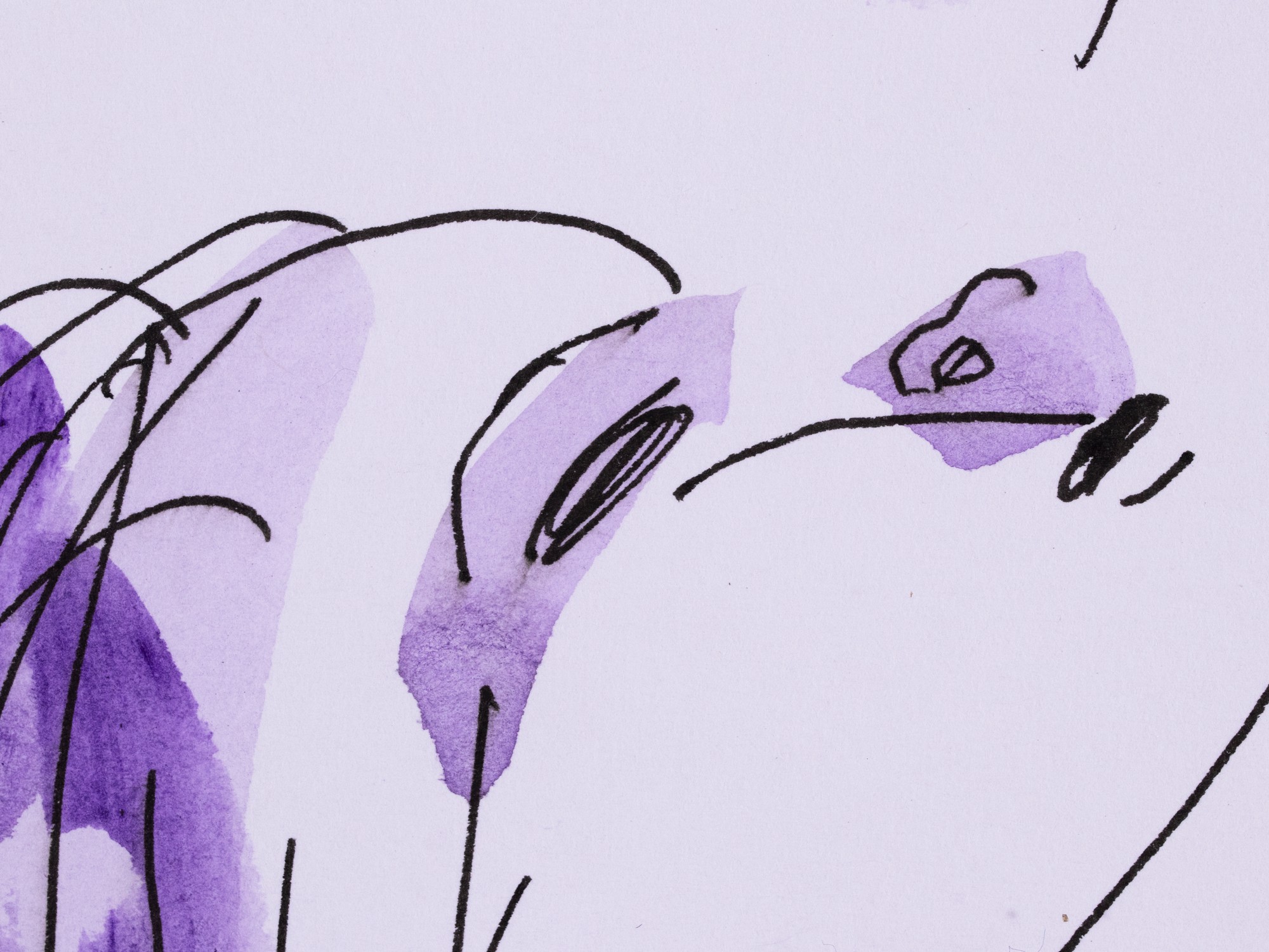 Lamav akt lillas valguses