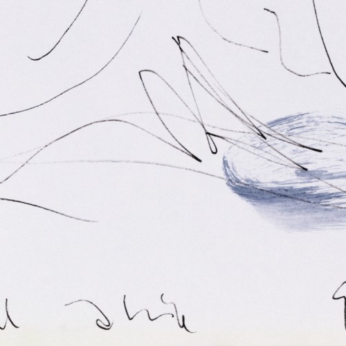 Akt hallis kontuuris