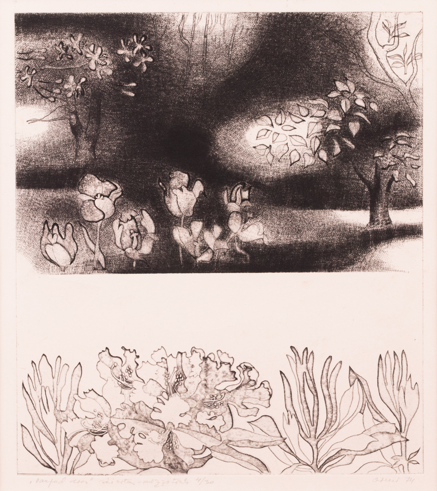 Shadows in the Garden