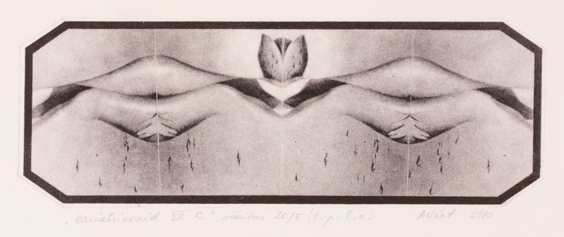 Variatsioonid VII C