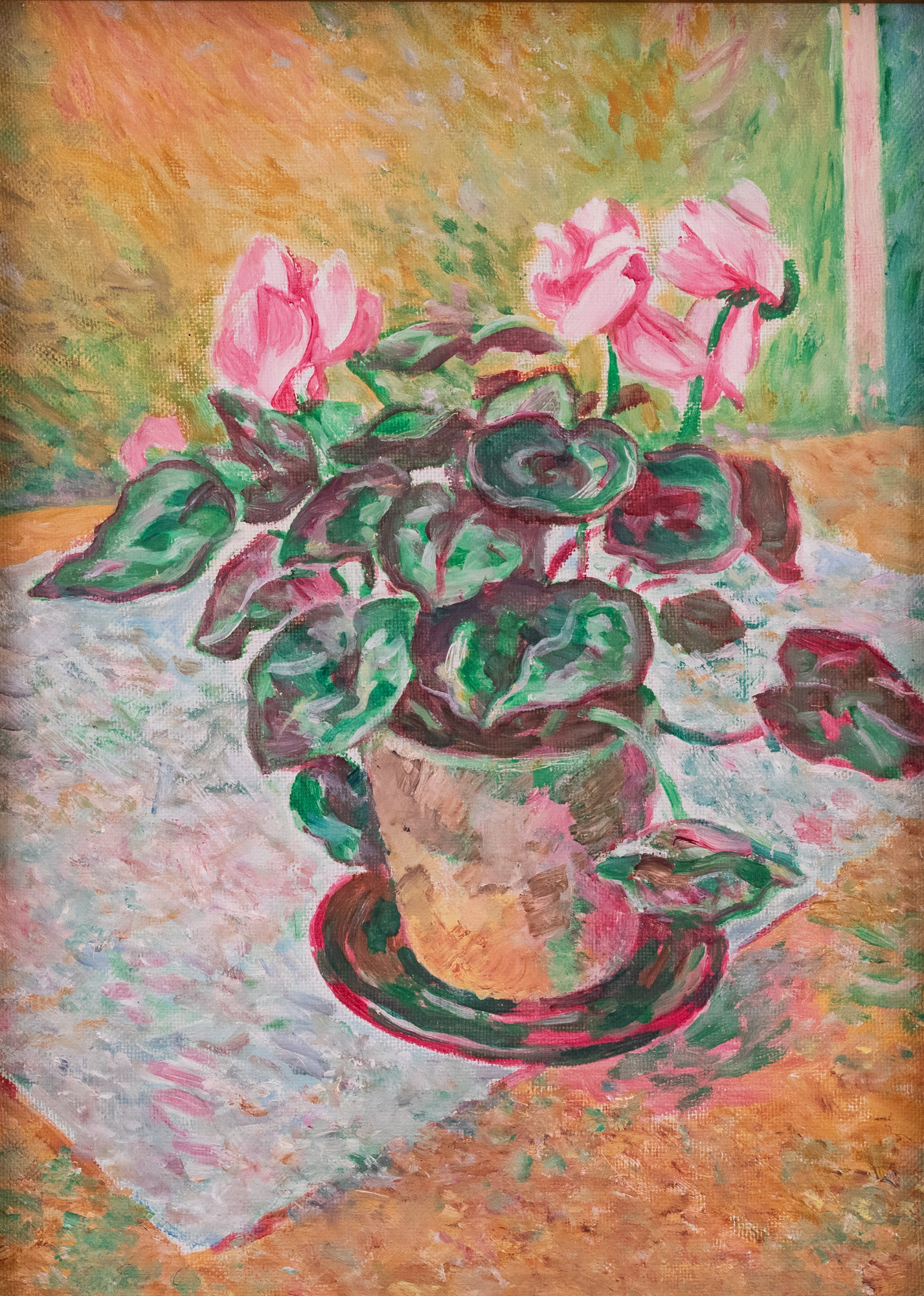 Cyclamens