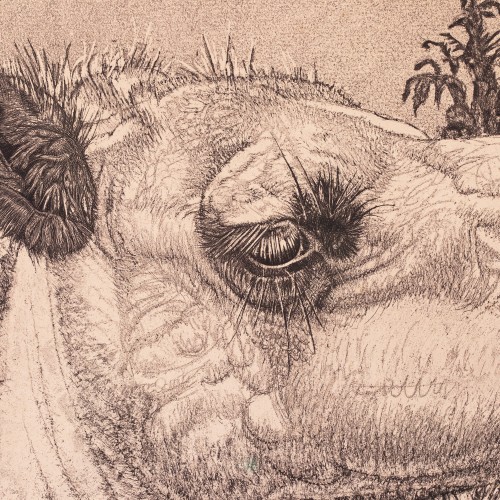 Berberi tüdruk kaameliga