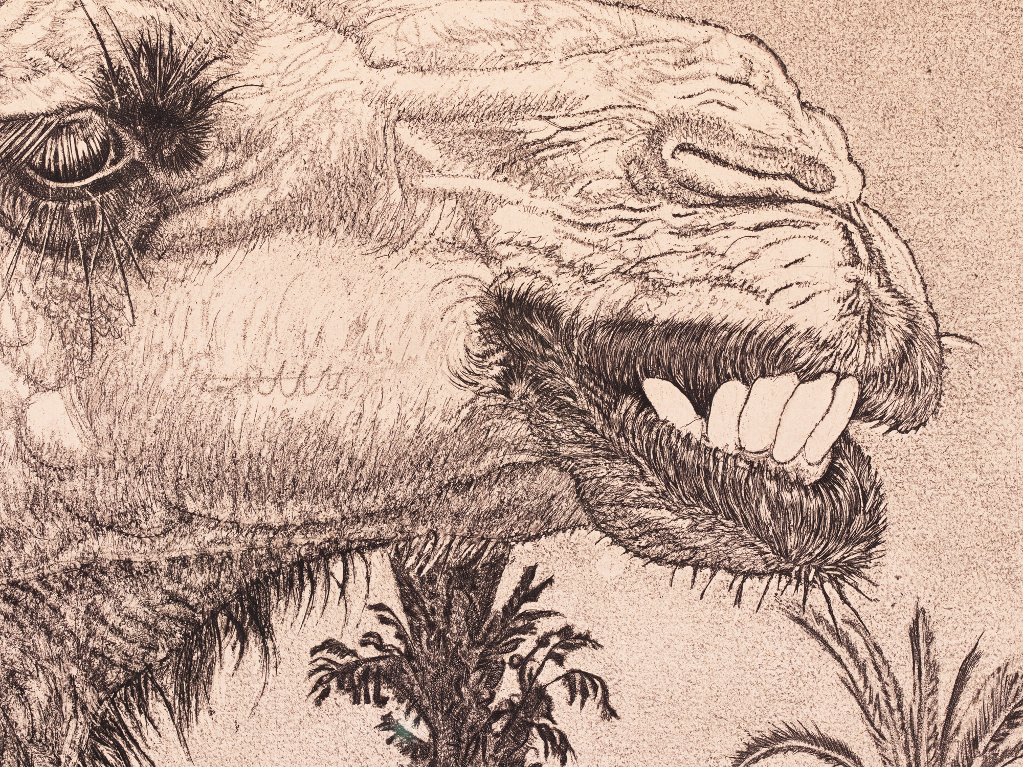 Berberi tüdruk kaameliga