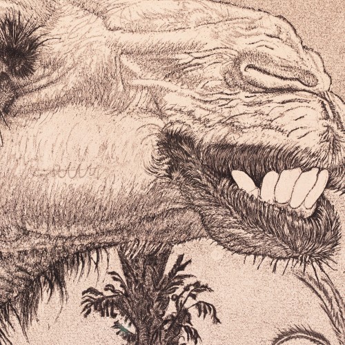 Berberi tüdruk kaameliga