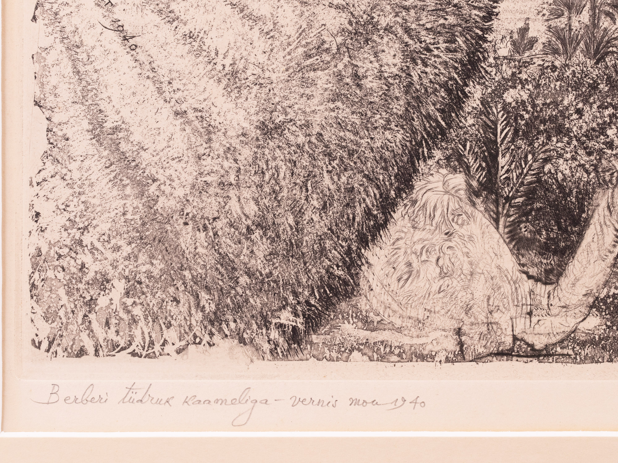 Berberi tüdruk kaameliga