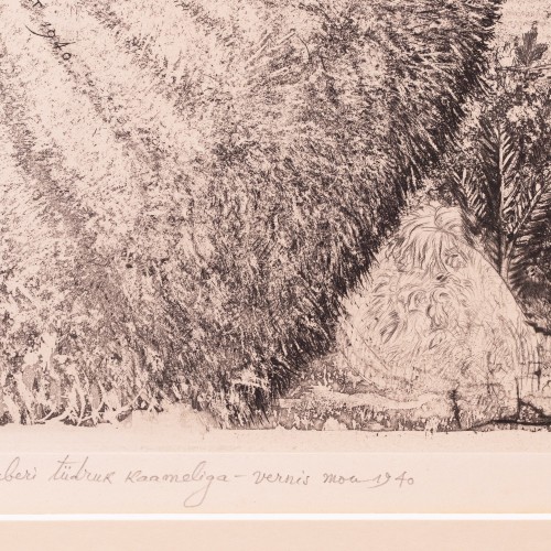 Berberi tüdruk kaameliga