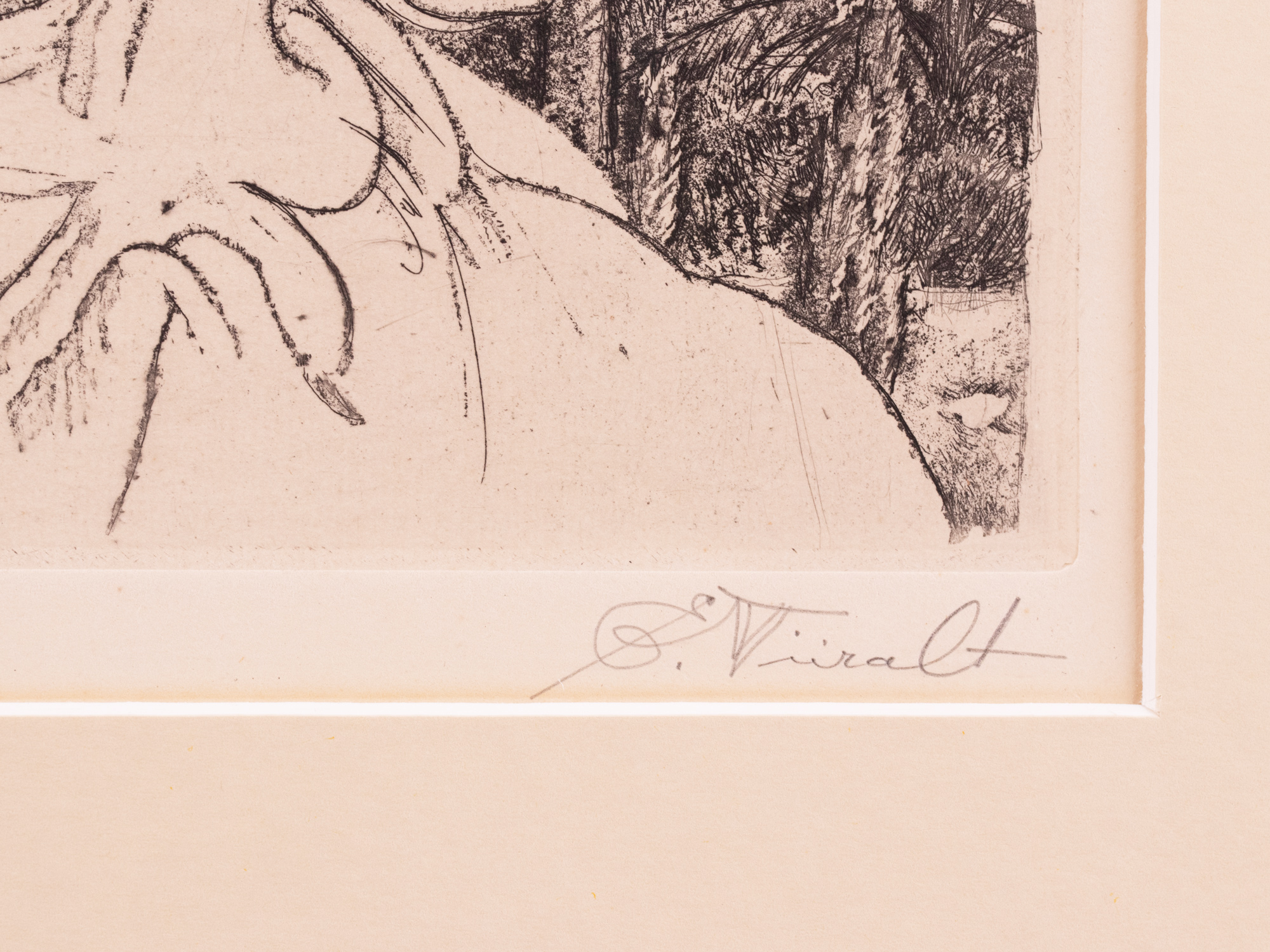 Berberi tüdruk kaameliga