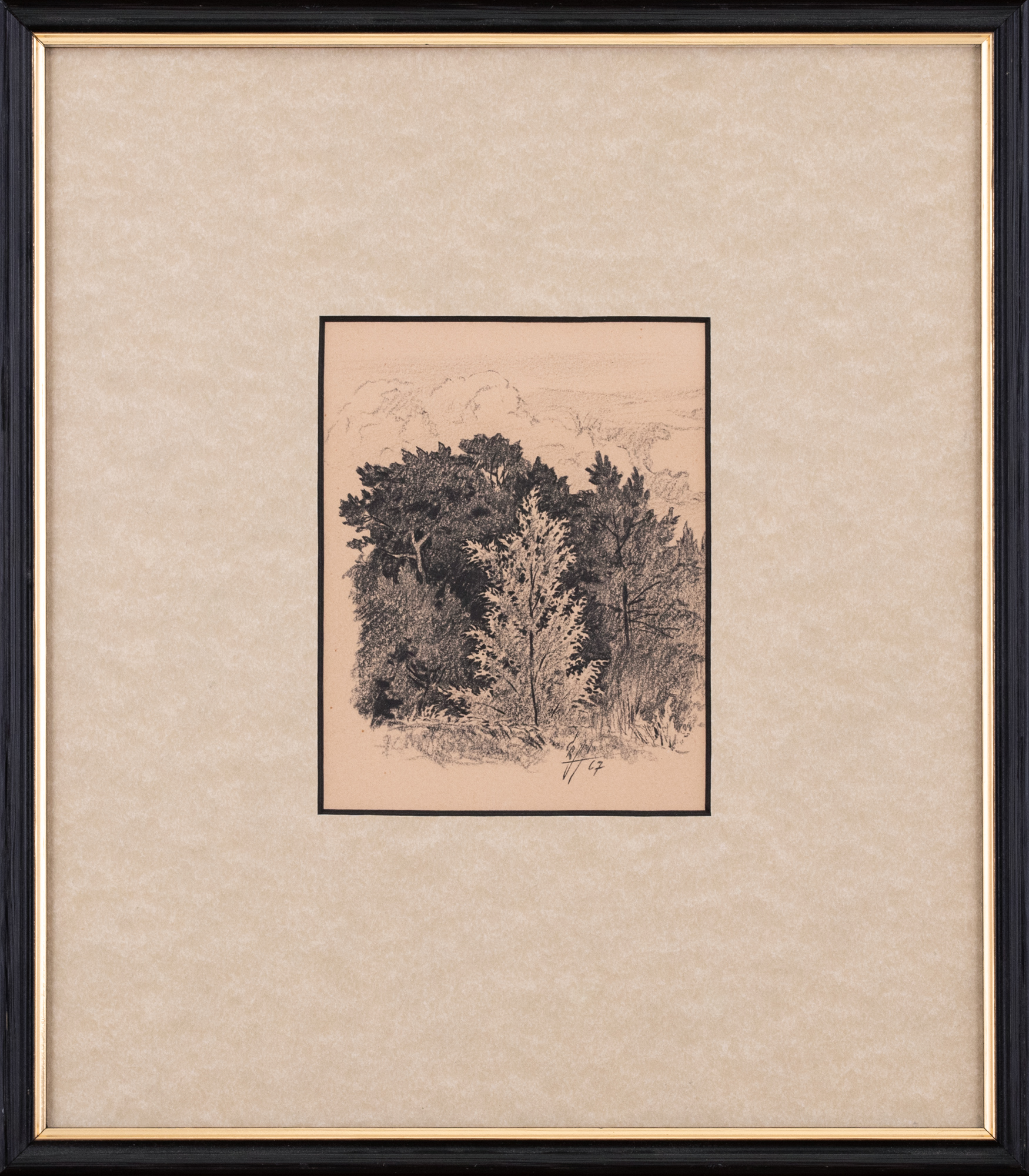 Üksik puu metsa taustal