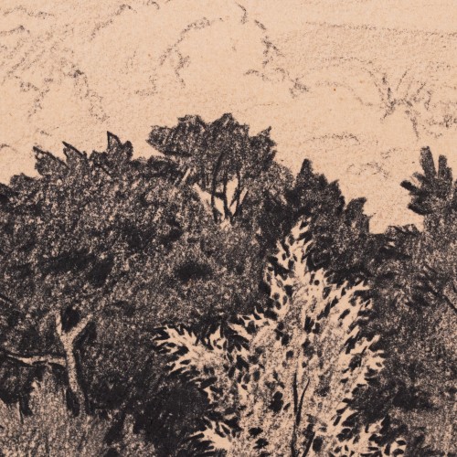 Üksik puu metsa taustal