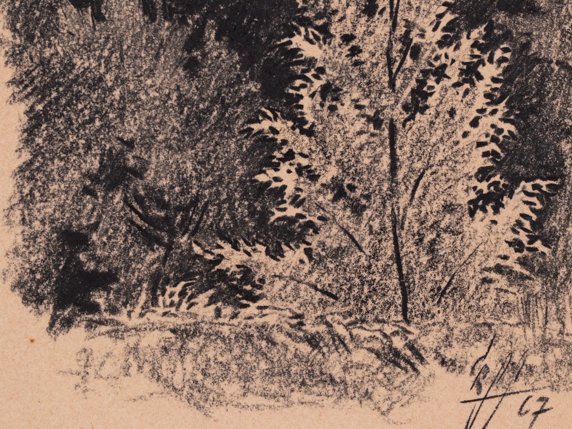 Üksik puu metsa taustal