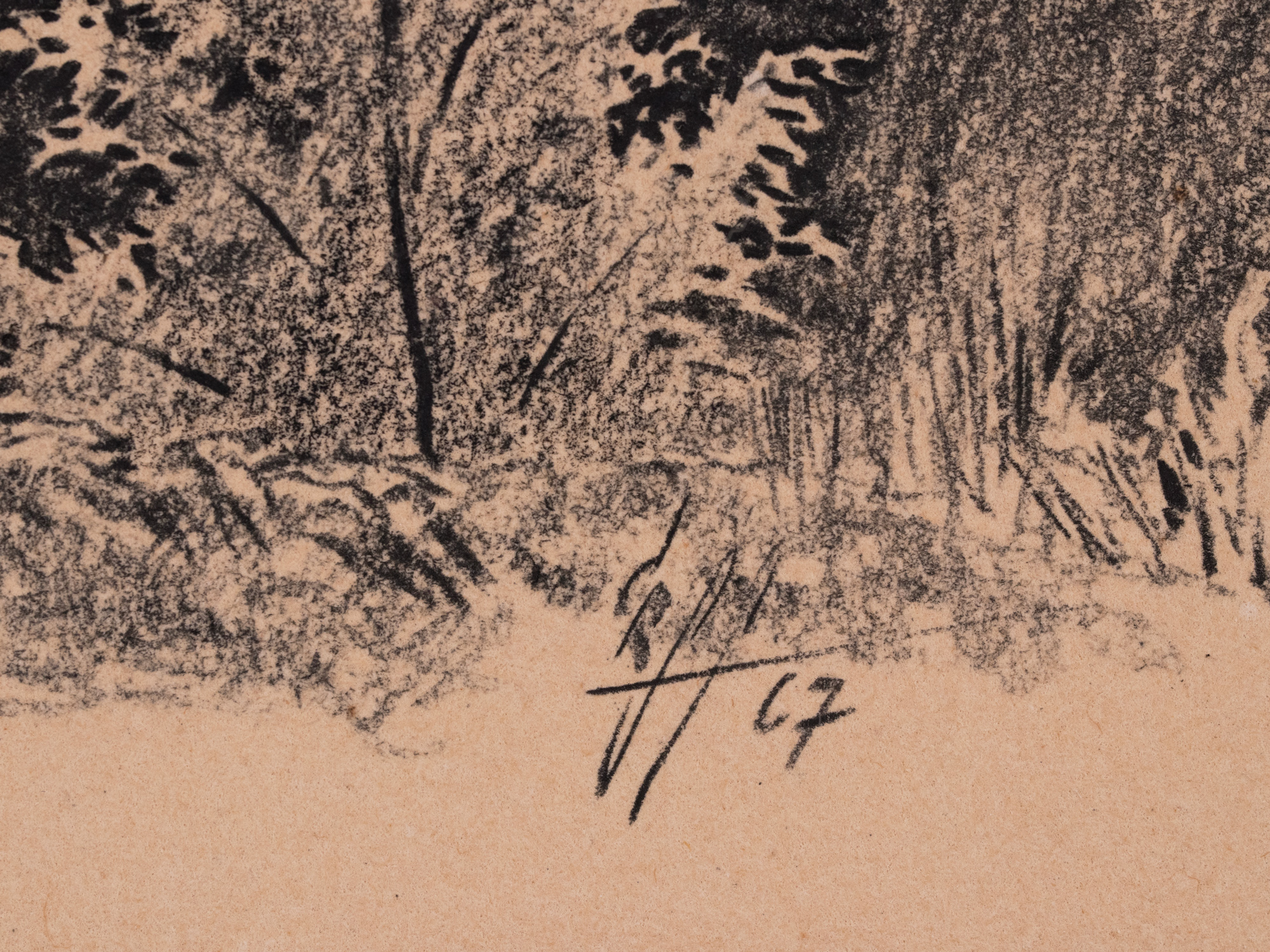 Üksik puu metsa taustal