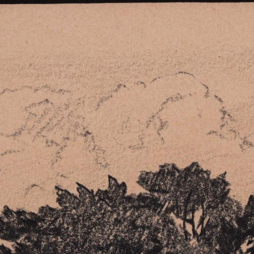 Üksik puu metsa taustal