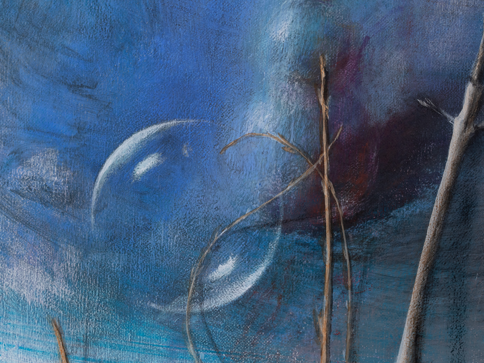 Maastik lumemehega 23-1