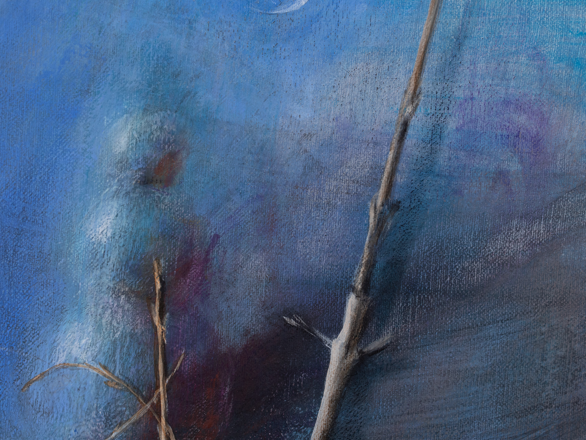 Maastik lumemehega 23-1