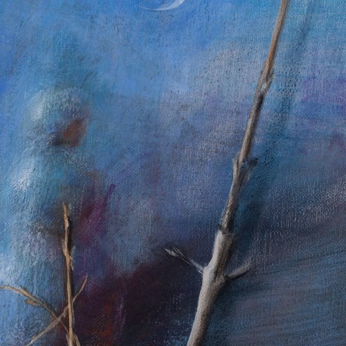 Maastik lumemehega 23-1