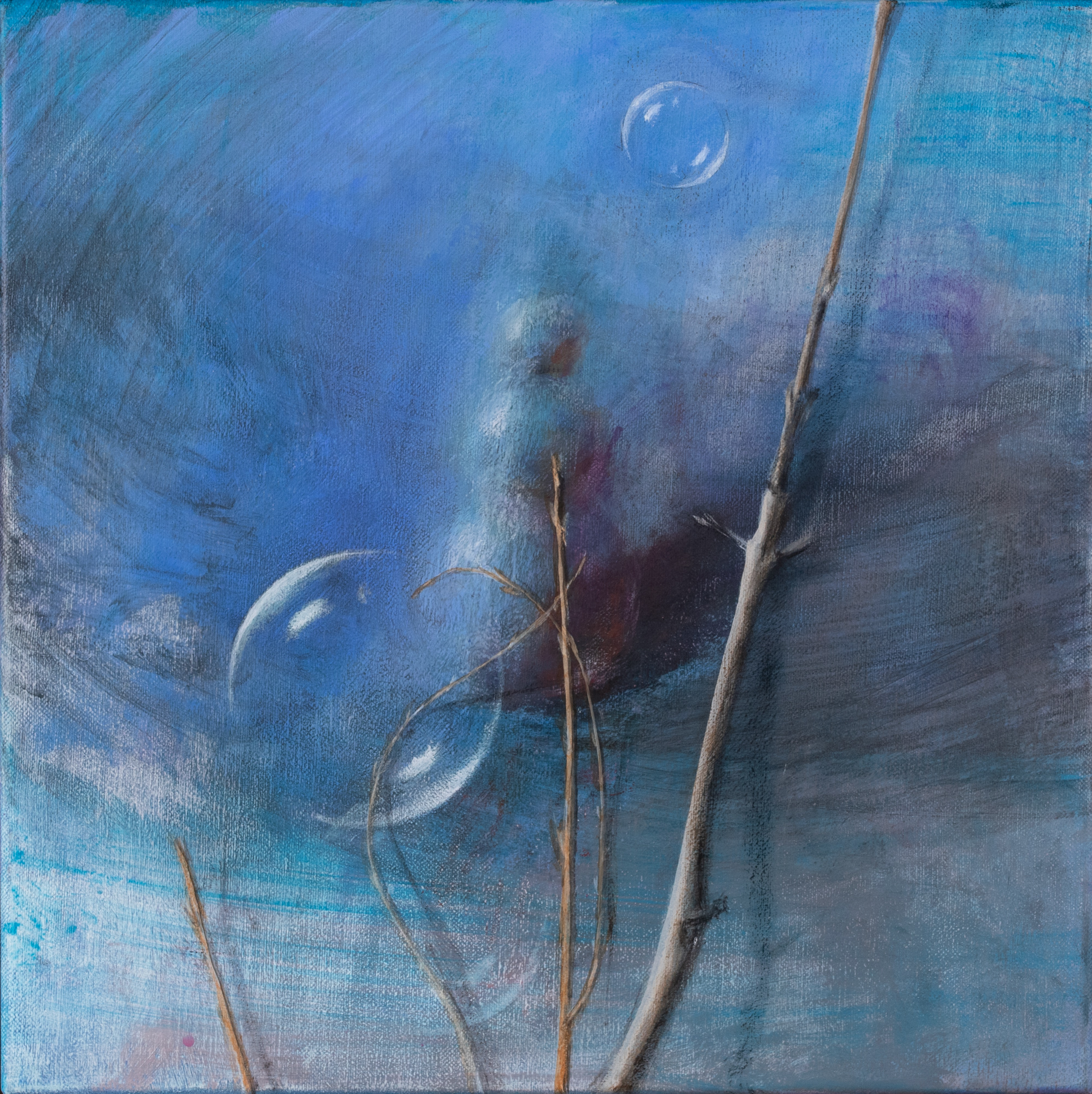 Maastik lumemehega 23-1