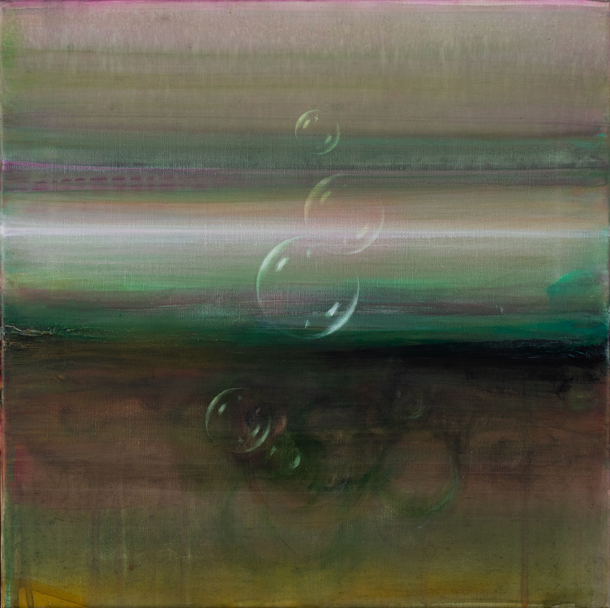 Maastik lumemehega 23-8