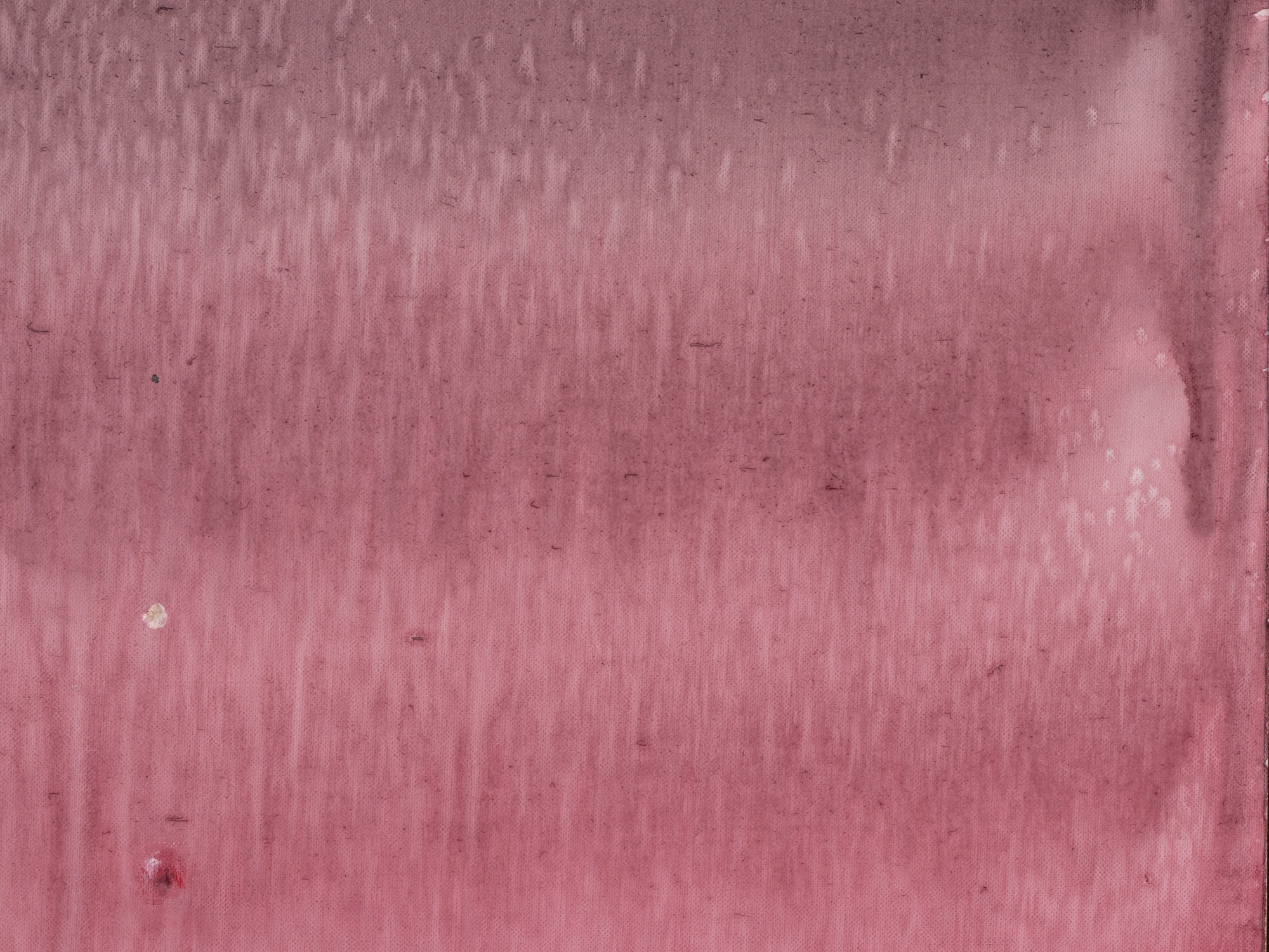 Maastik lumemehega 23-10