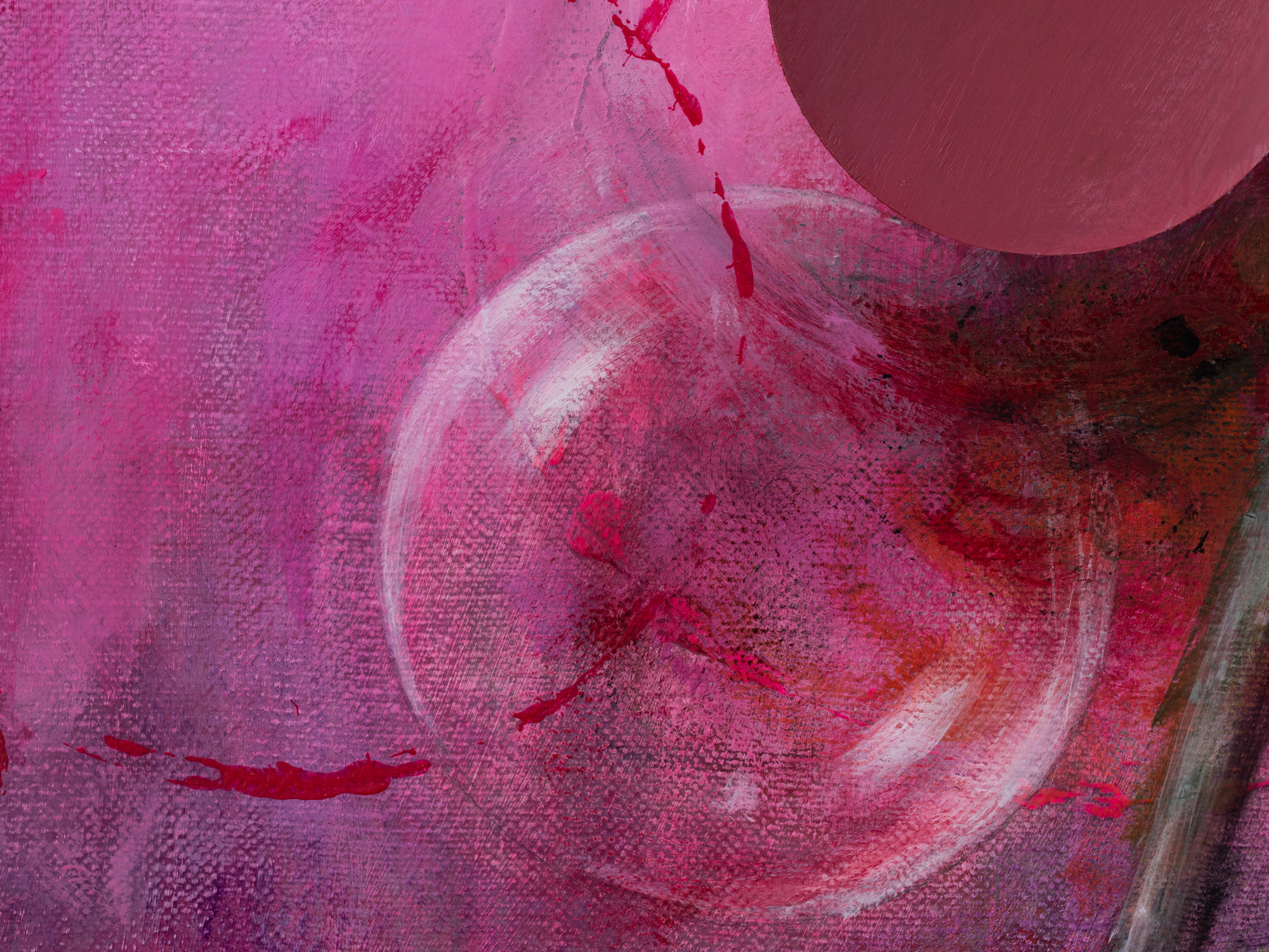 Maastik lumemehega 1