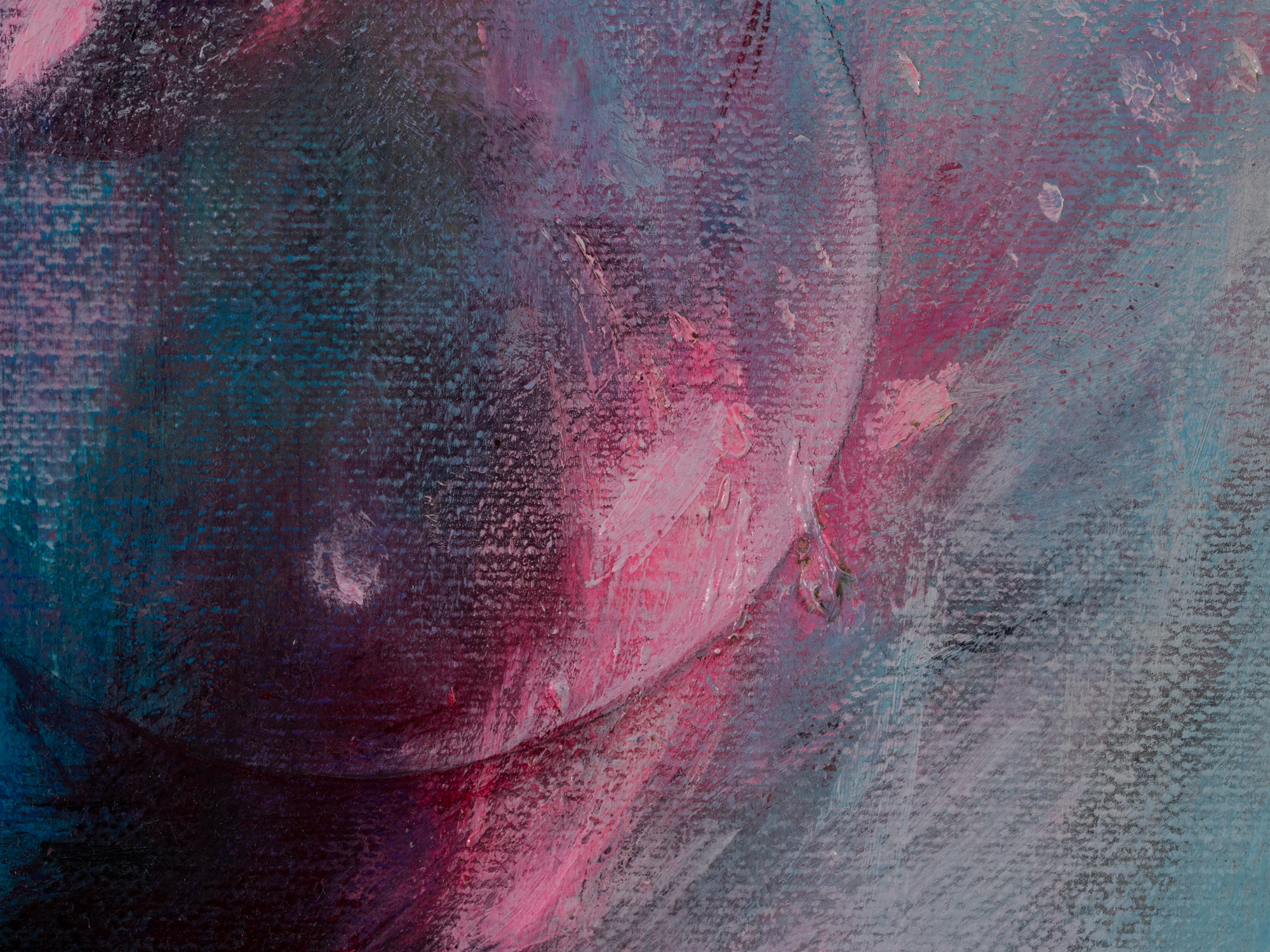 Maastik lumemehega 2