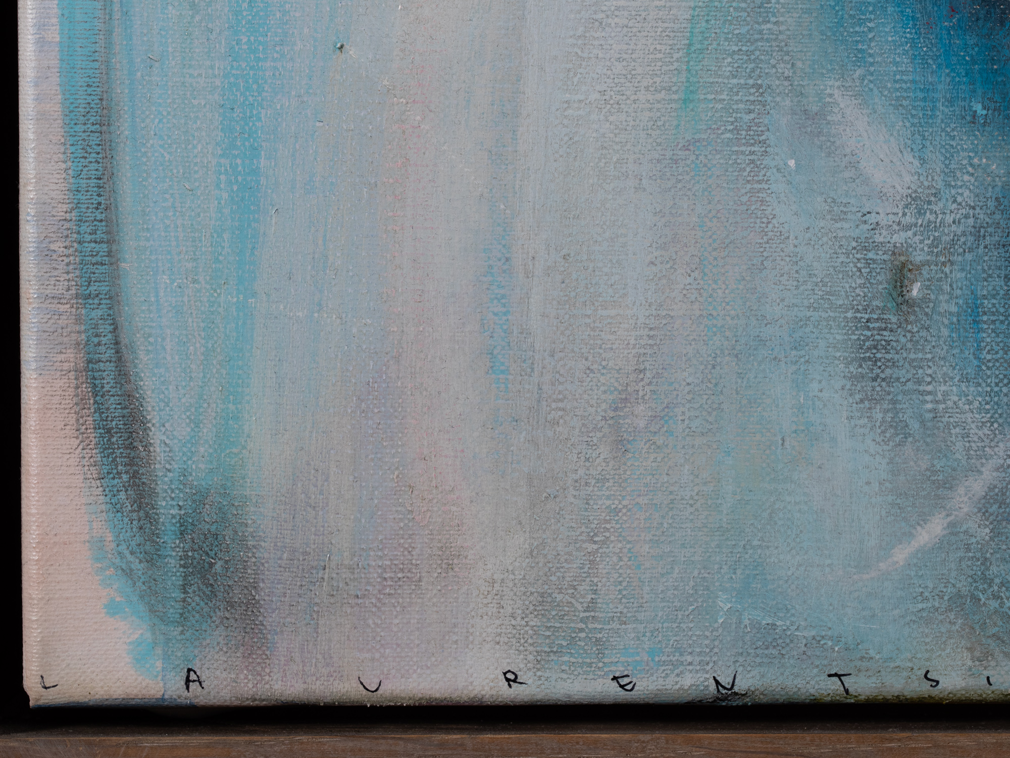 Maastik lumemehega 2