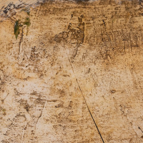 Kompositsioon ringidega