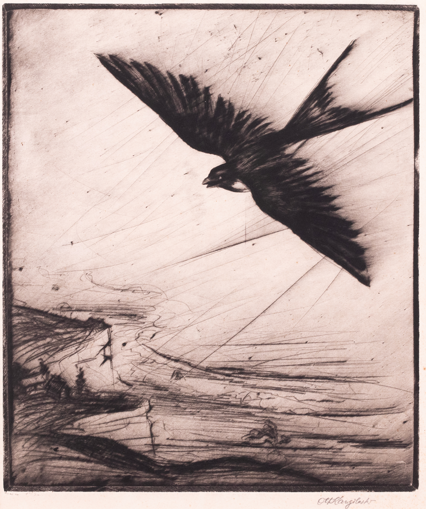 Swallow