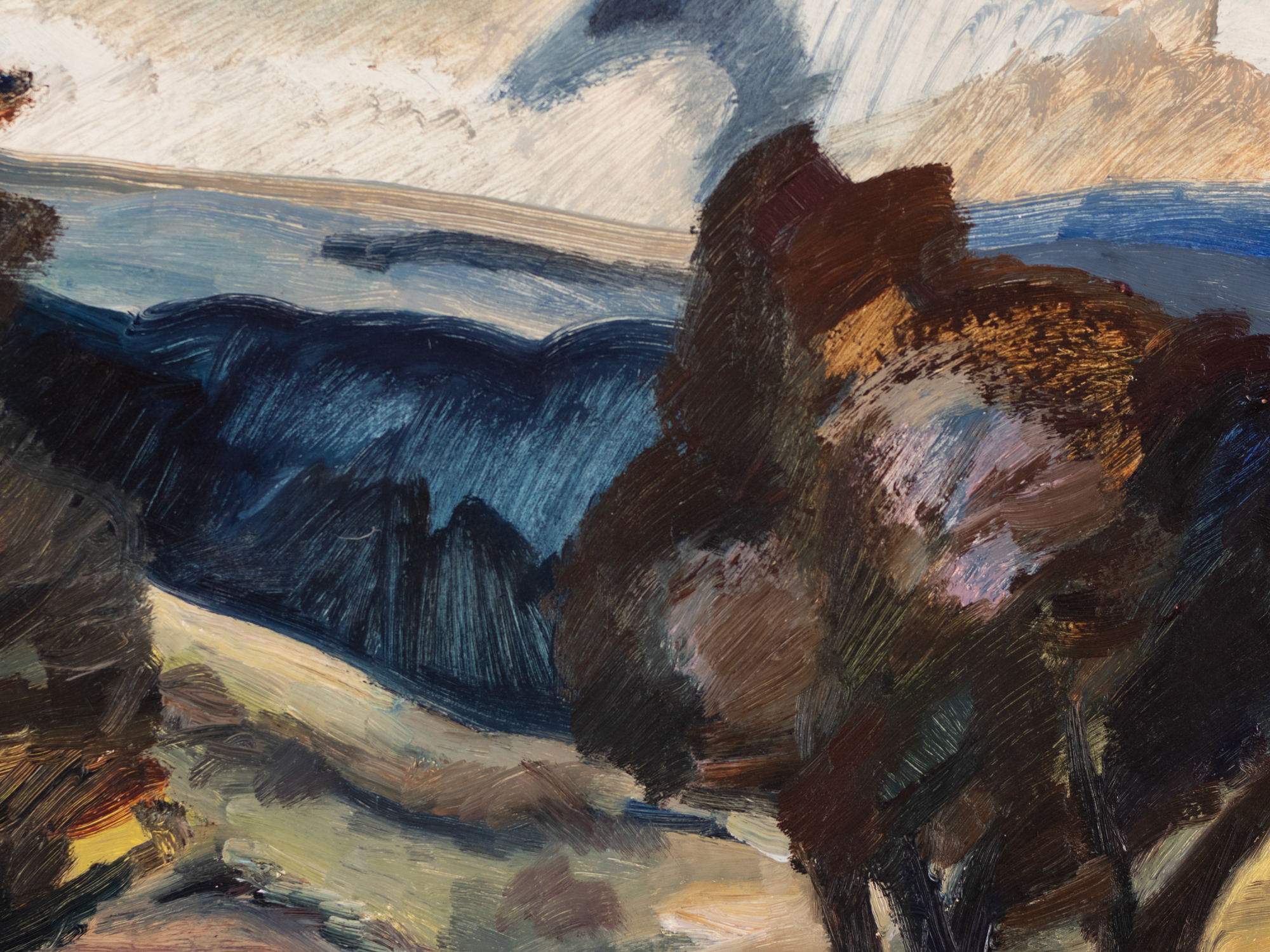 Maastik puudegruppidega