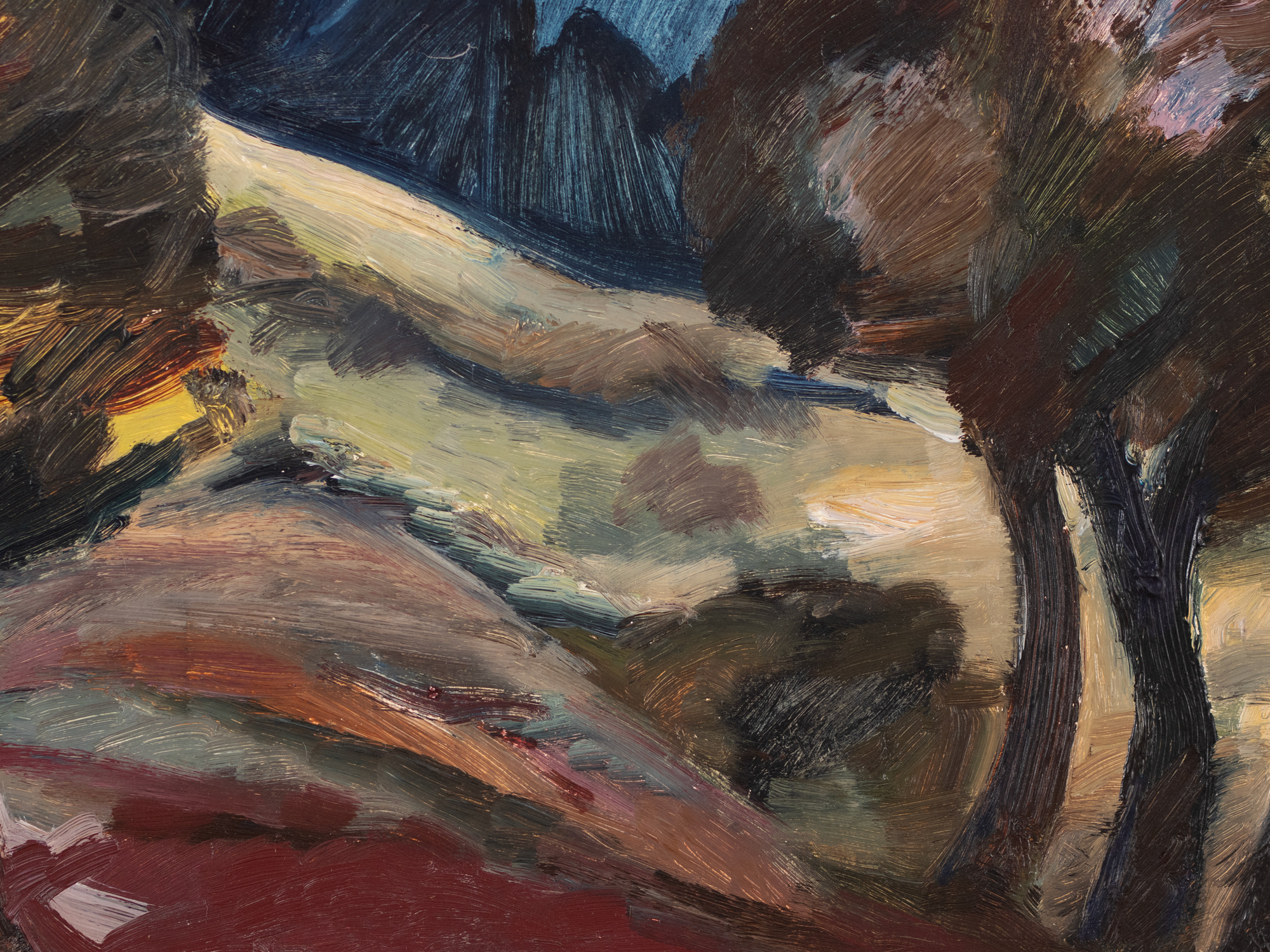 Maastik puudegruppidega