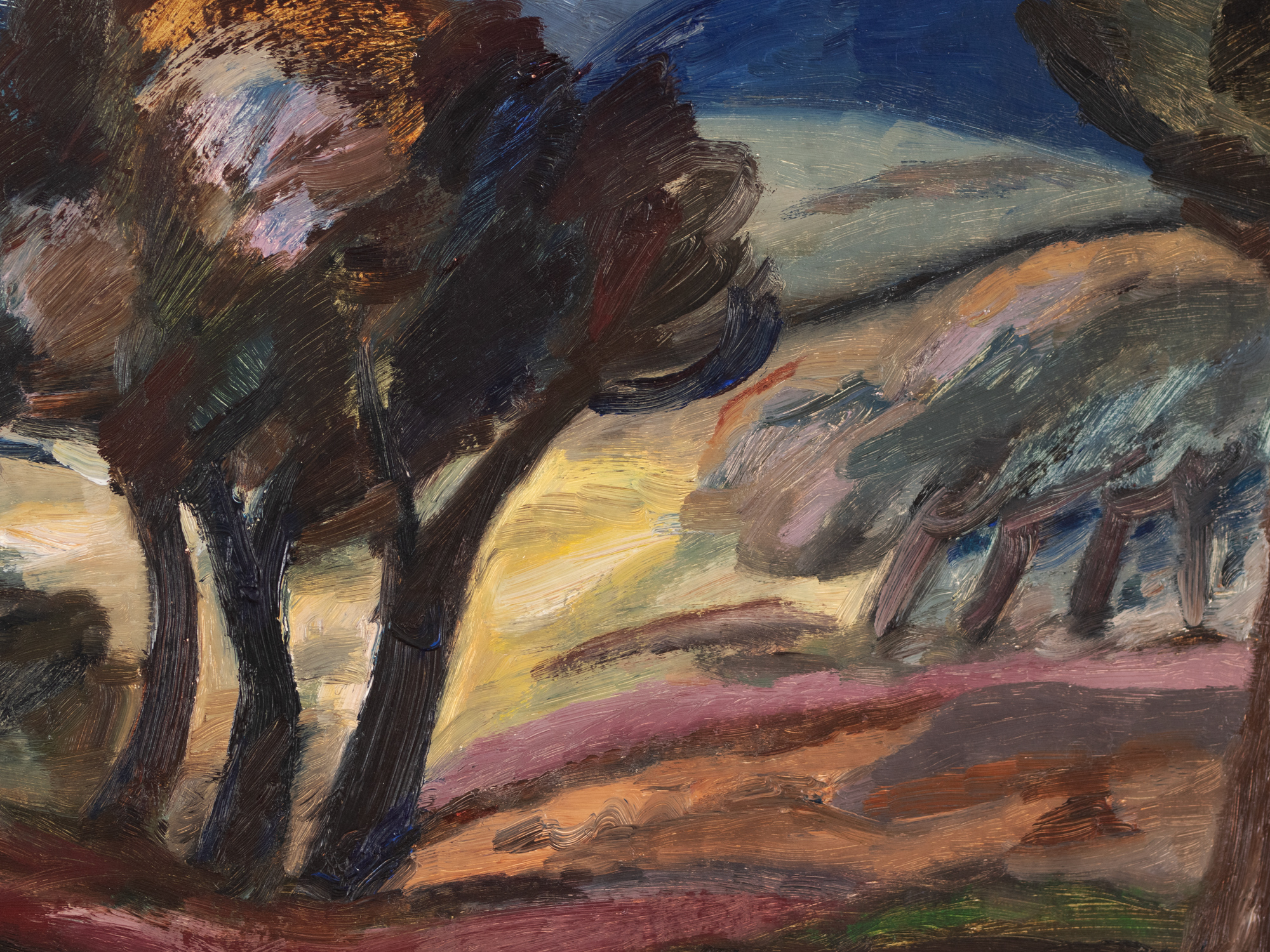 Maastik puudegruppidega