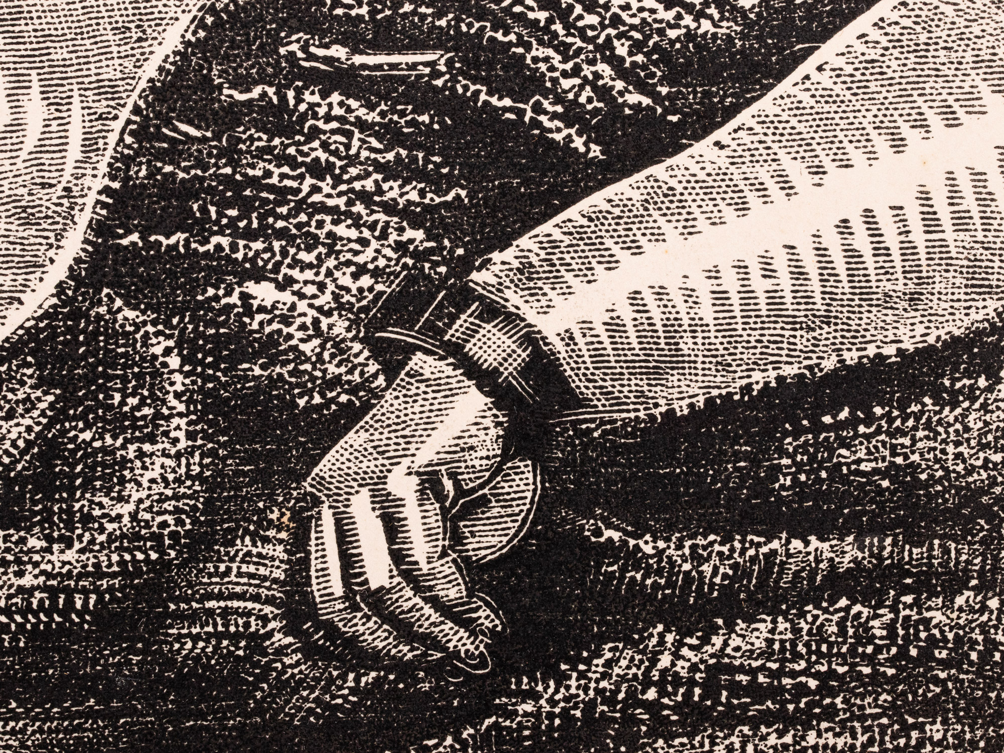 Lamav akt koera ja fööniksiga