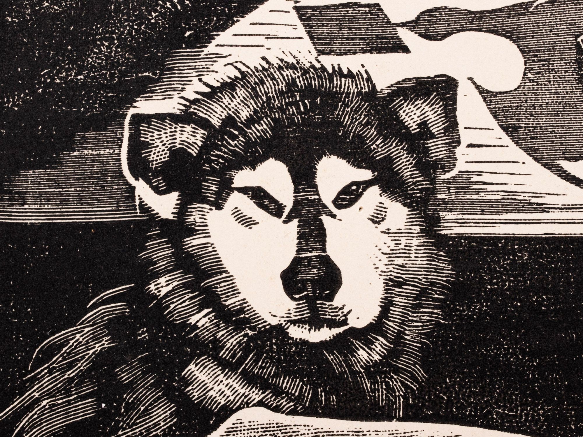 Lamav akt koera ja fööniksiga